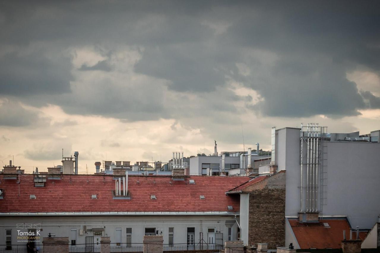 Imperial Suite With Basilika And Castle View Need Reservation For Free Parking Budapest Extérieur photo